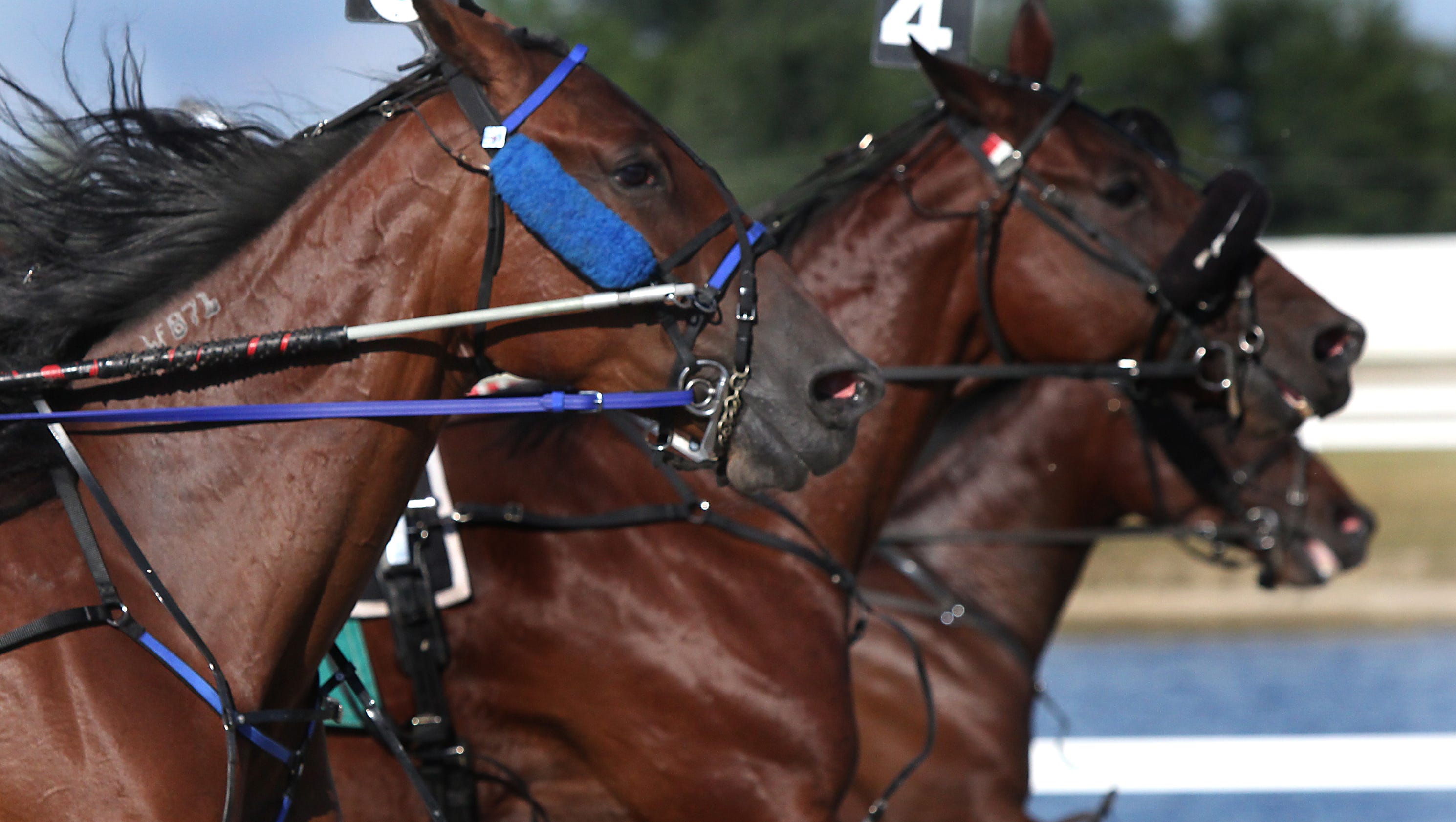 indiana-horse-trainer-fined-40-000-suspended-15-years