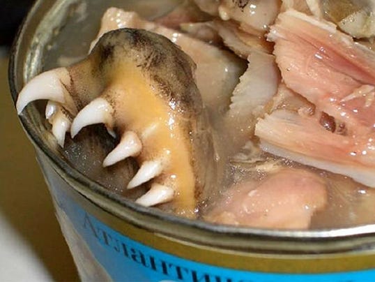 Worlds Most Bizarre Canned Foods