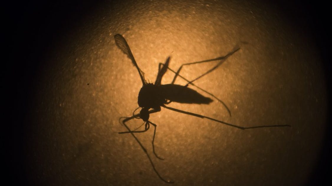 Second West Nile virus case confirmed in Memphis area