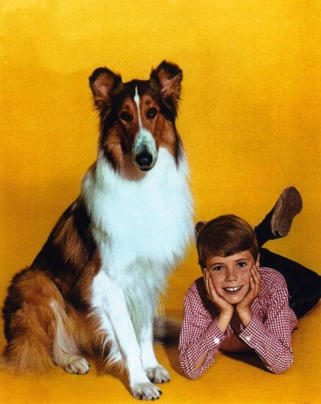 Here's What Happened to Lassie and co-star Jon Provost