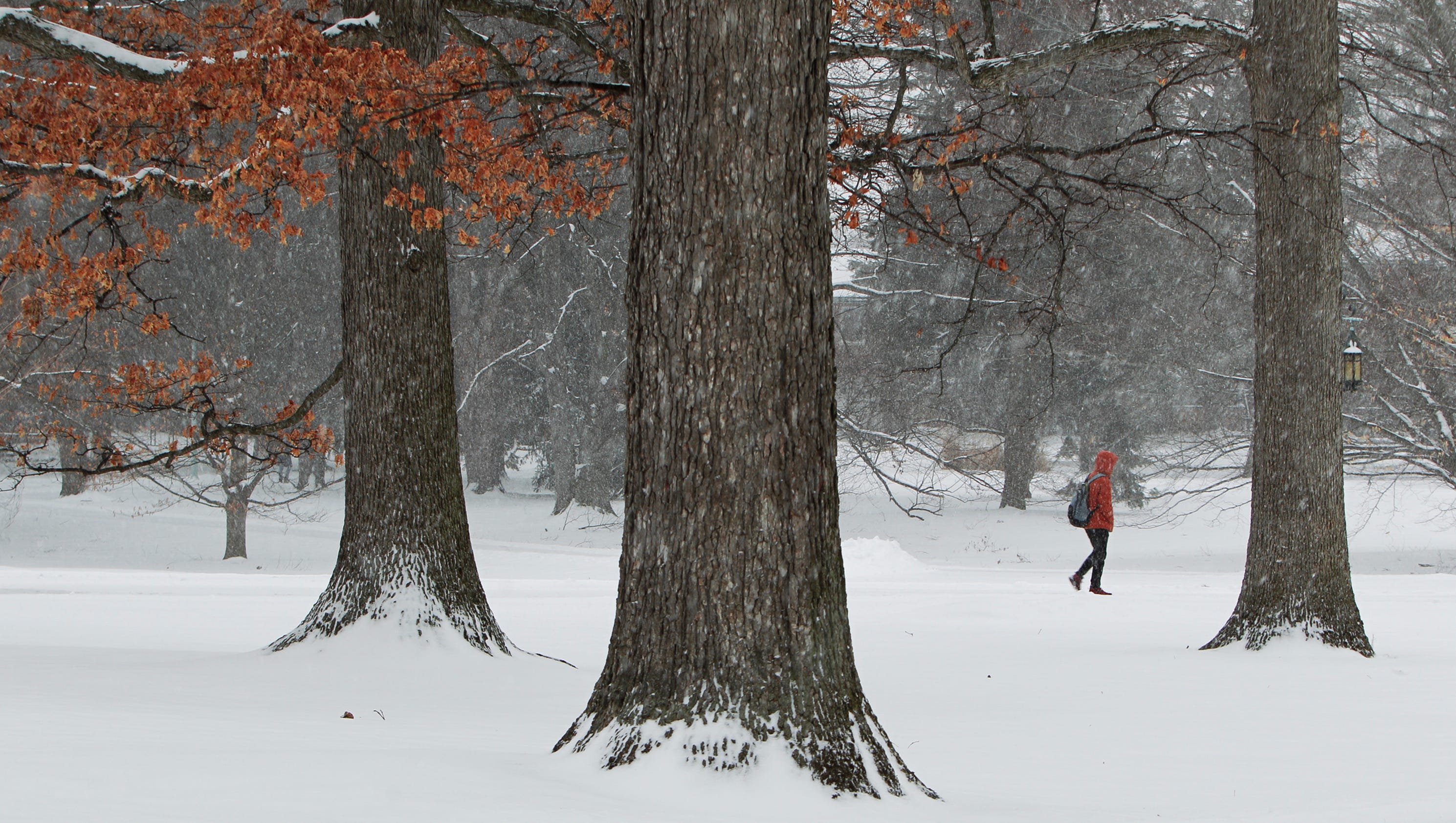 pictures-6-10-inches-of-snow-expected-in-the-lansing-area