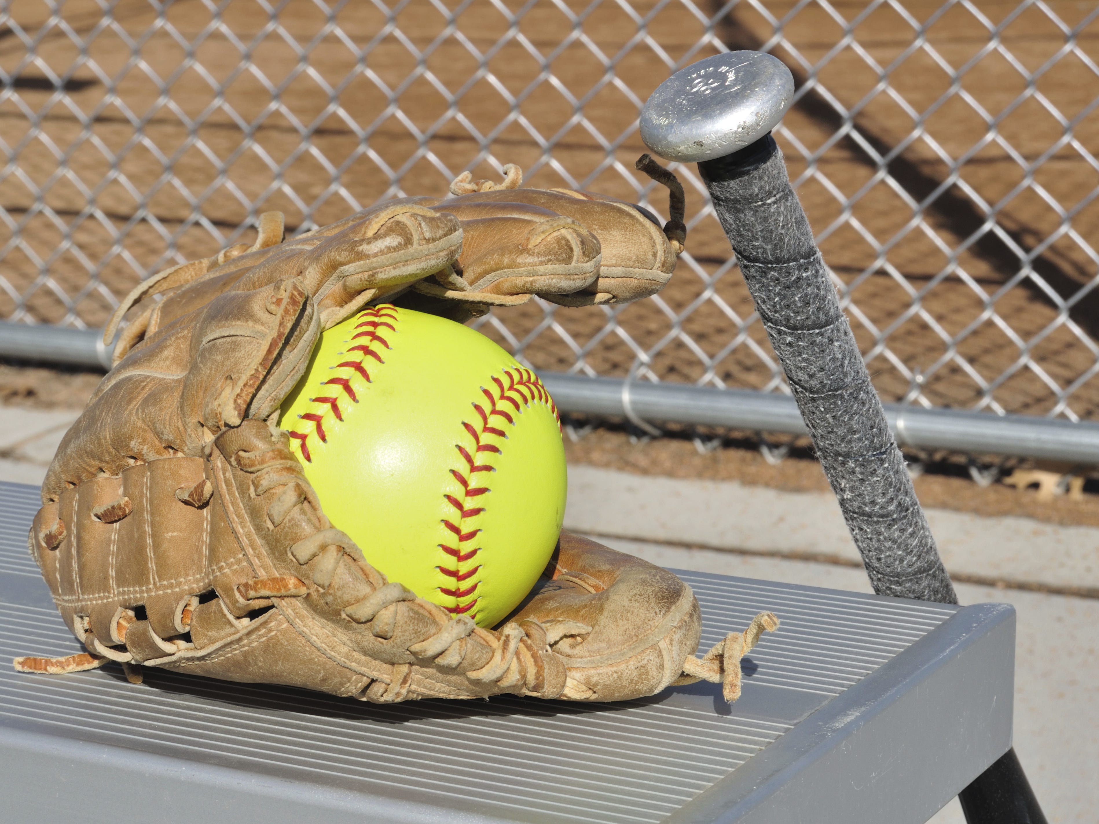 wilson softball