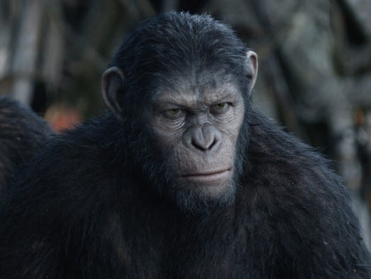 Not All Apes Are Created Equal For Dawn