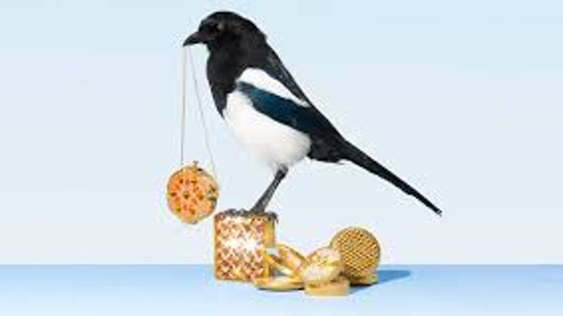 magpie-symbolic-meanings-and-magpie-meanings-on-whats-your-sign