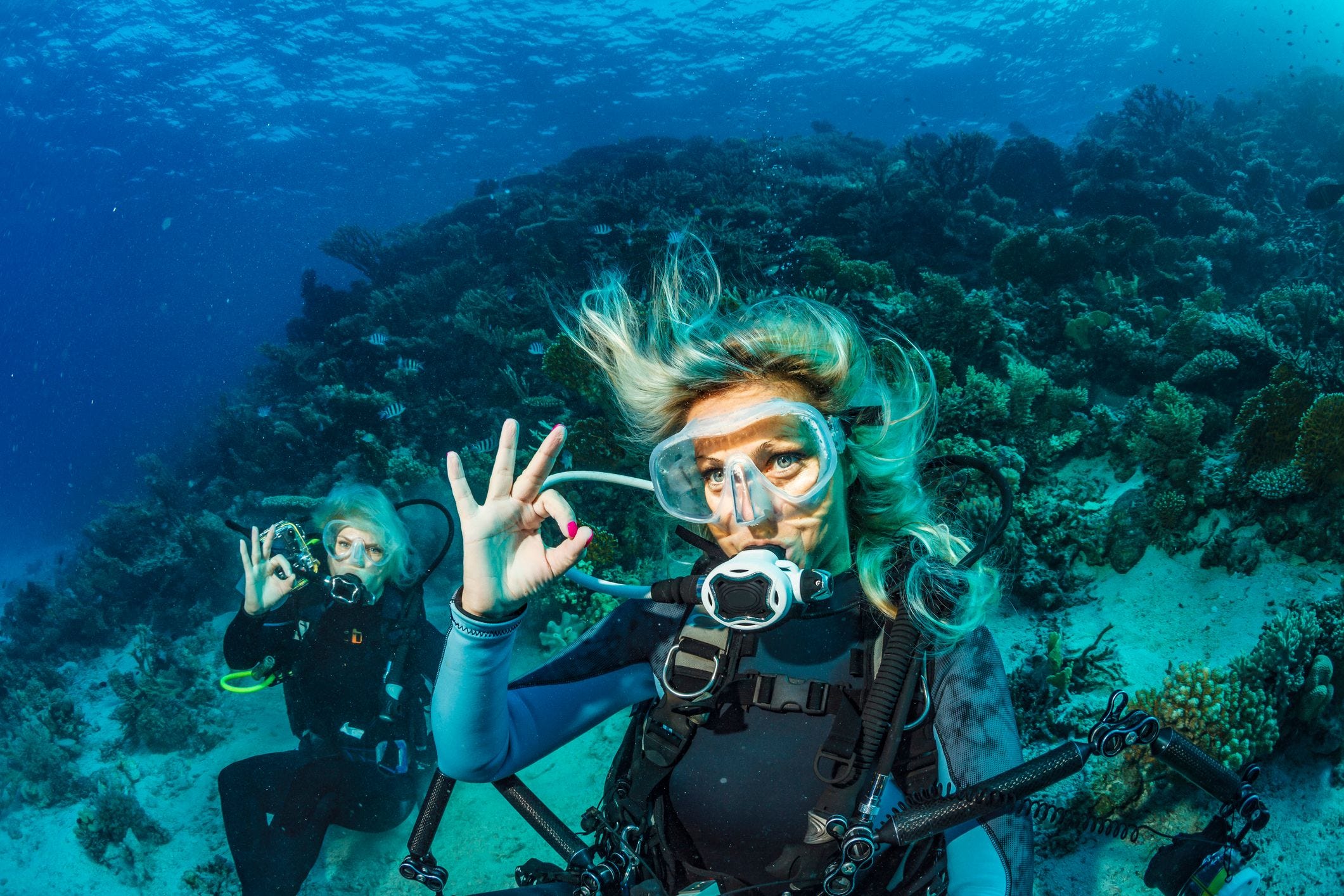 Scuba buddys underwater