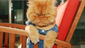 Garfi in a denim outfit