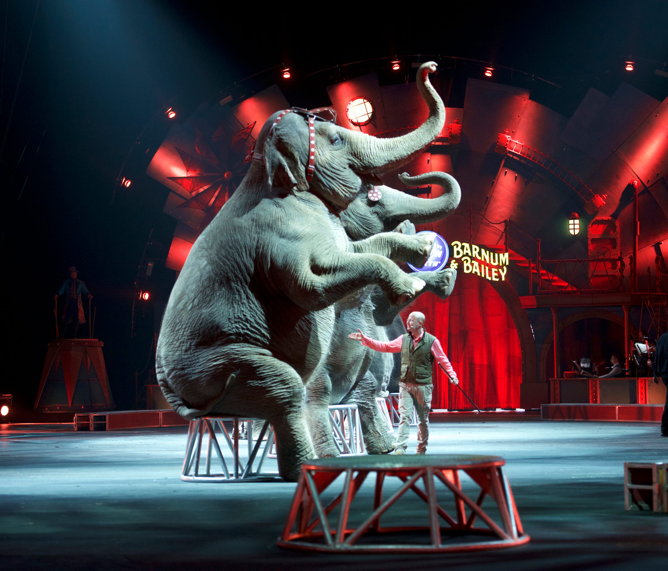 Ringling Elephants Perform Last Show End 145 Year Run