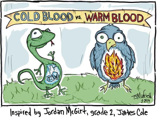 kids-quiz-how-are-cold-blooded-animals-different-from-warm-blooded-ones