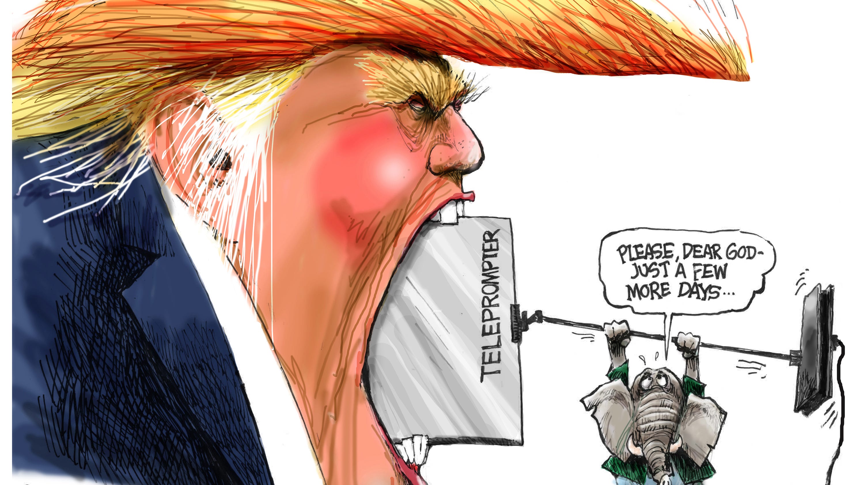 November Political Cartoons From The Usa Today Network