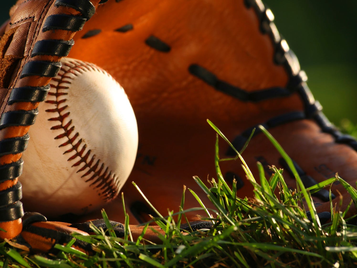 Signups for WNC Fall Baseball in August USA TODAY High School Sports