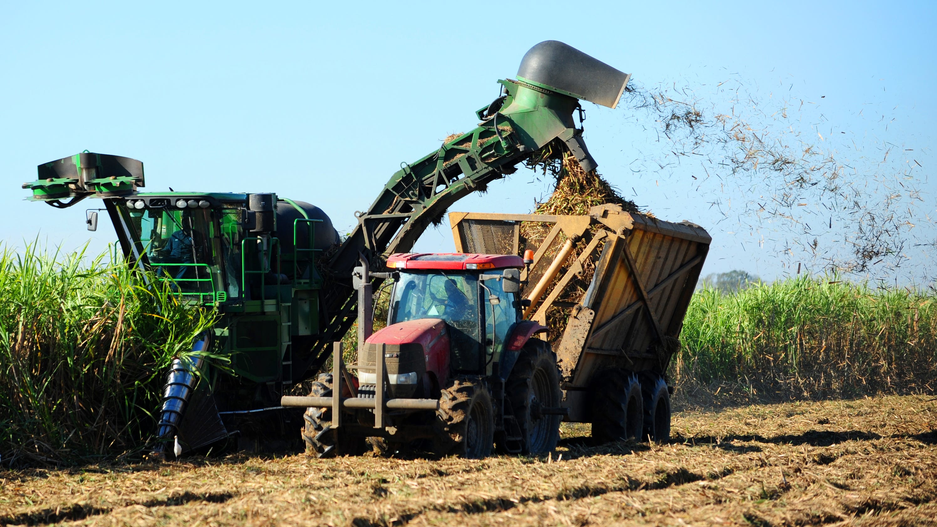 Louisiana’s sugar cane farmers see decent yields in 2015