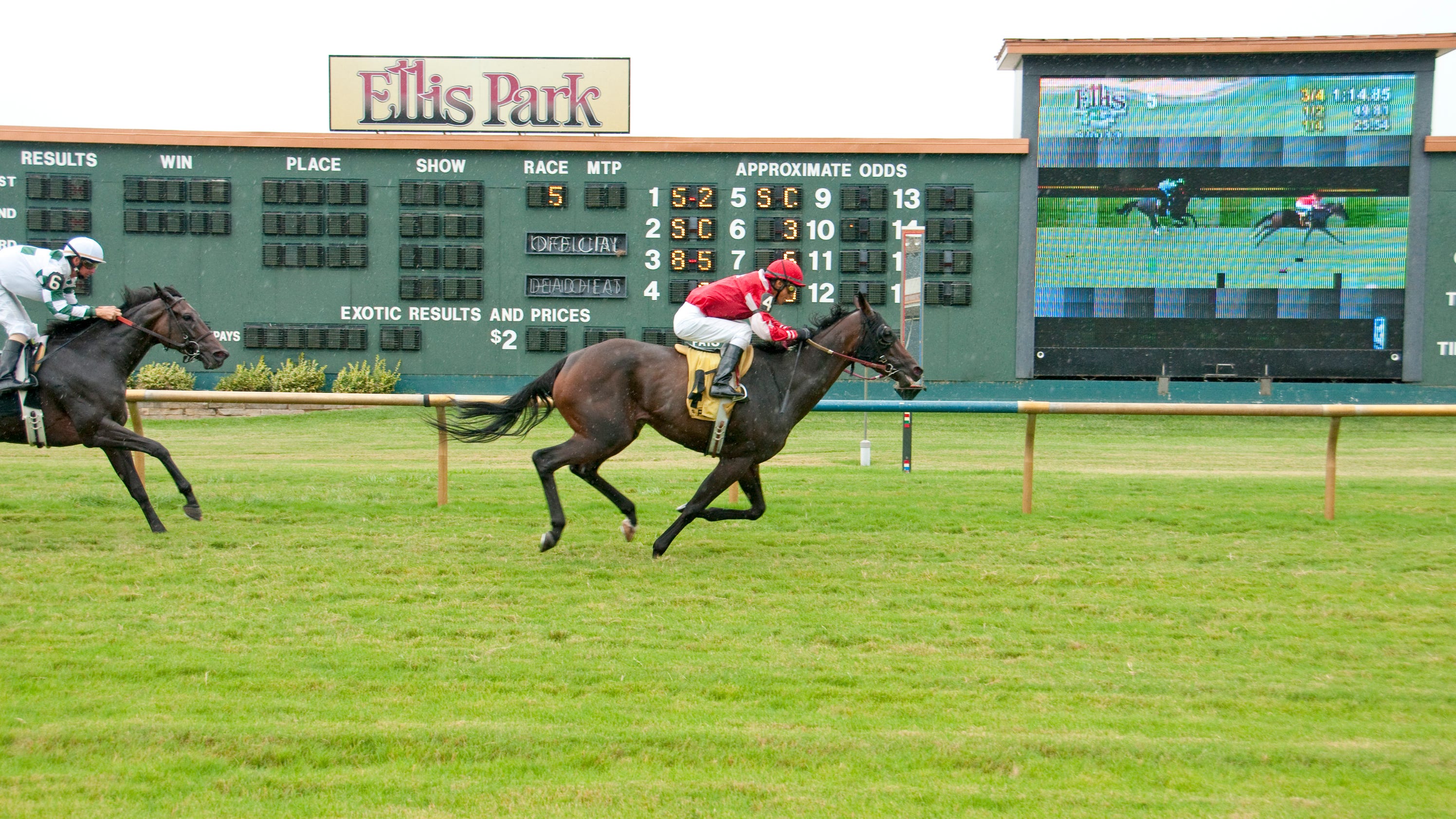 What to know about Ellis Park's horse racing meet