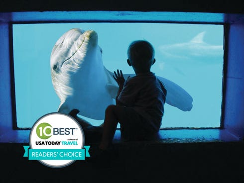 The Clearwater Marine Aquarium was voted best attraction in Florida by 10Best.com and USA TODAY readers.