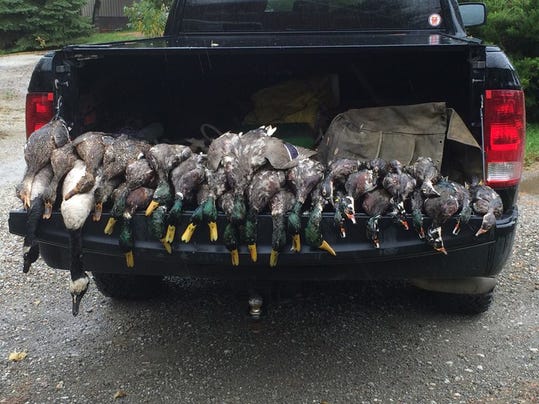 DNR: Hunters Bagged Way Too Many Ducks