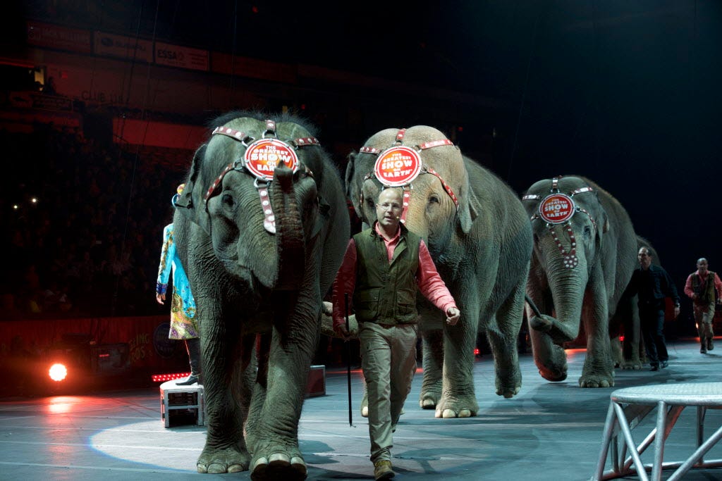Ringling Elephants Perform Last Show End 145 Year Run