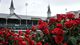 A general view of roses in the winner's circle before the 2013 Kentucky Derby