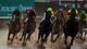 Horses race along the muddy backstretch during an undercard race prior to the 139th running of the Kentucky Derby