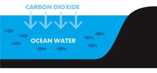 How CO2 Emissions Change Ocean Chemistry