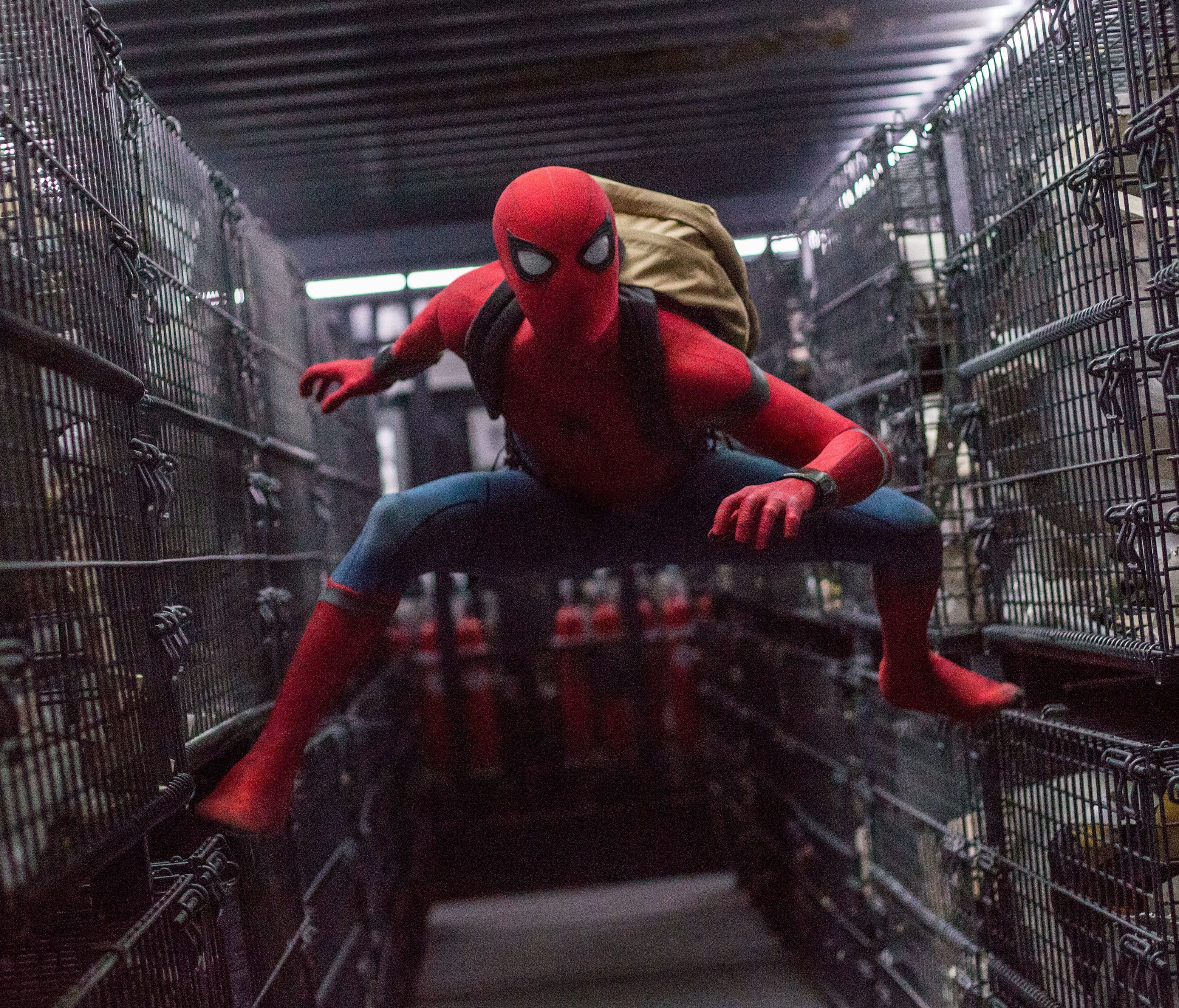 Tom Holland wears the red-and-blue suit as the title character in 'Spider-Man: Homecoming.'