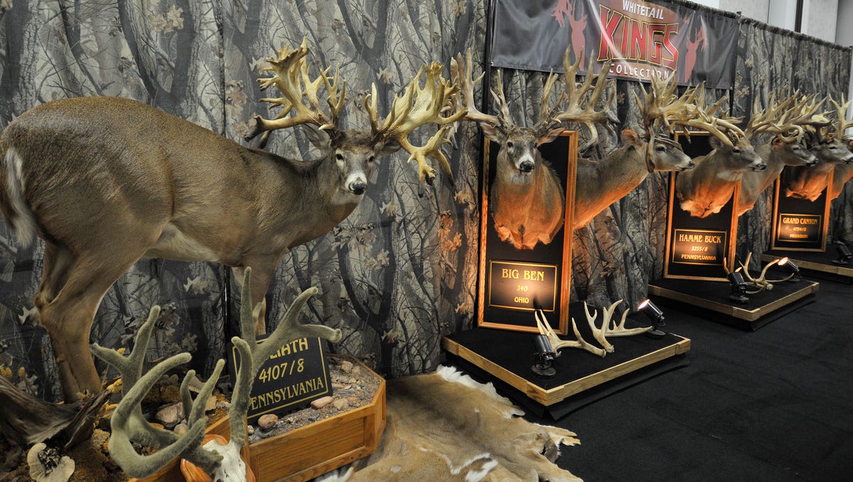 Deer & Hunting Expo in Rothschild