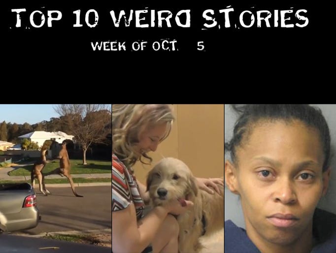 Top 10 Weird stories of the week