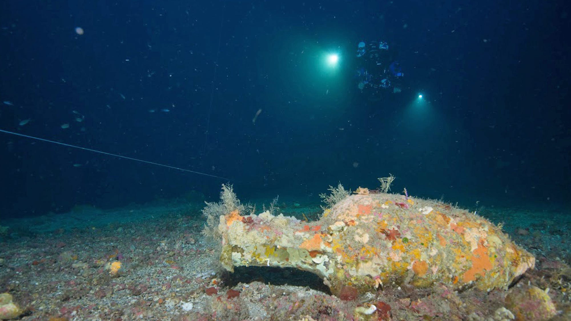 Divers From Florida Help After Ancient Wreck Discovered