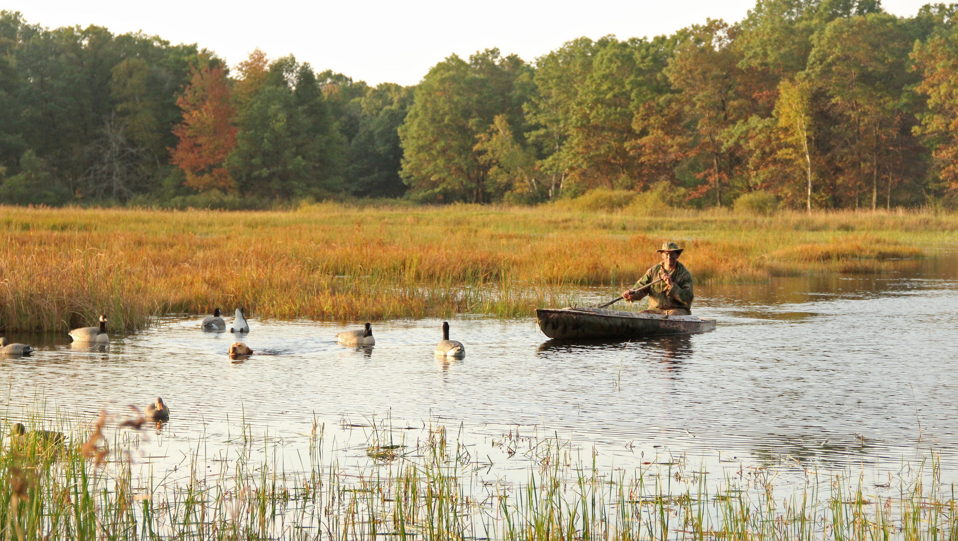 Wisconsin duck hunters again offered 60day season
