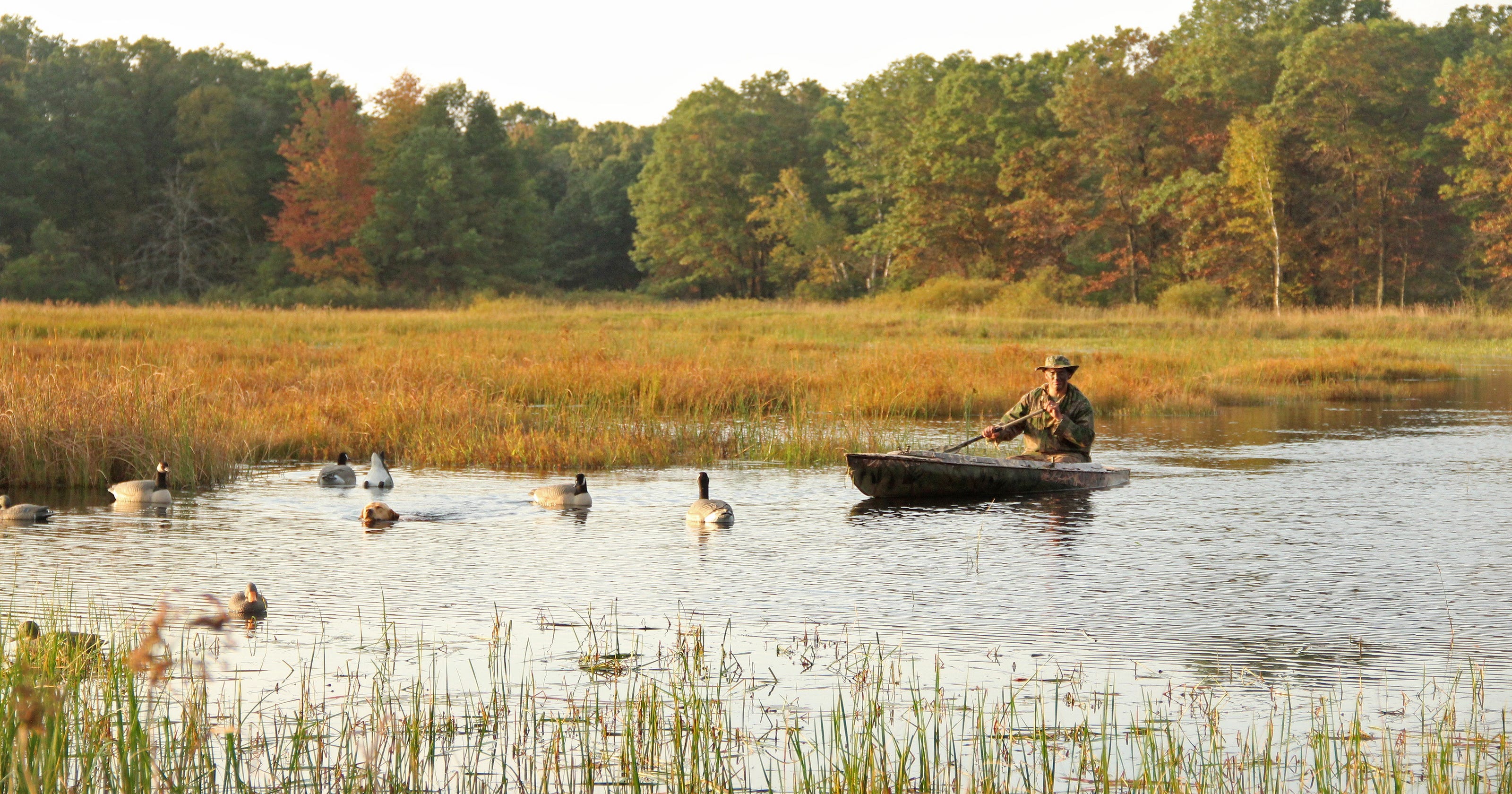 Wisconsin duck hunters again offered 60day season