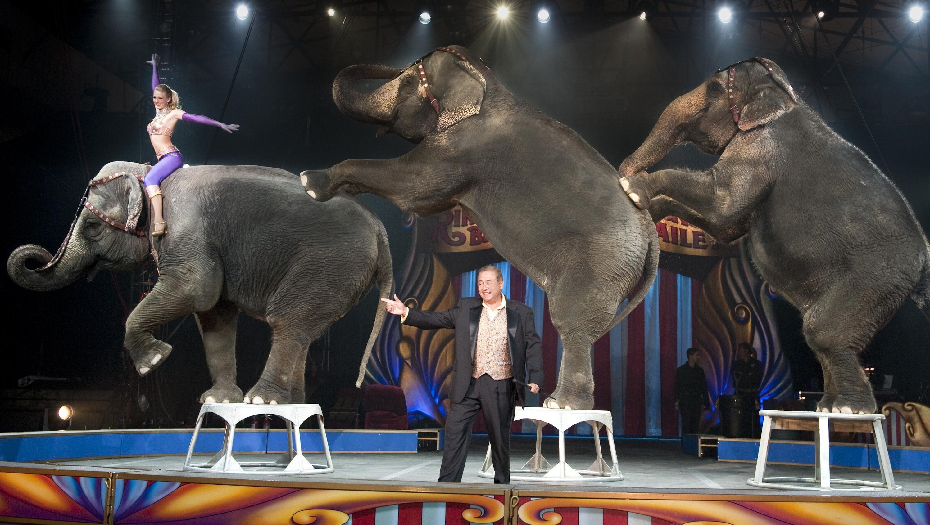 Цирк шоу слонов братьев Гертнер