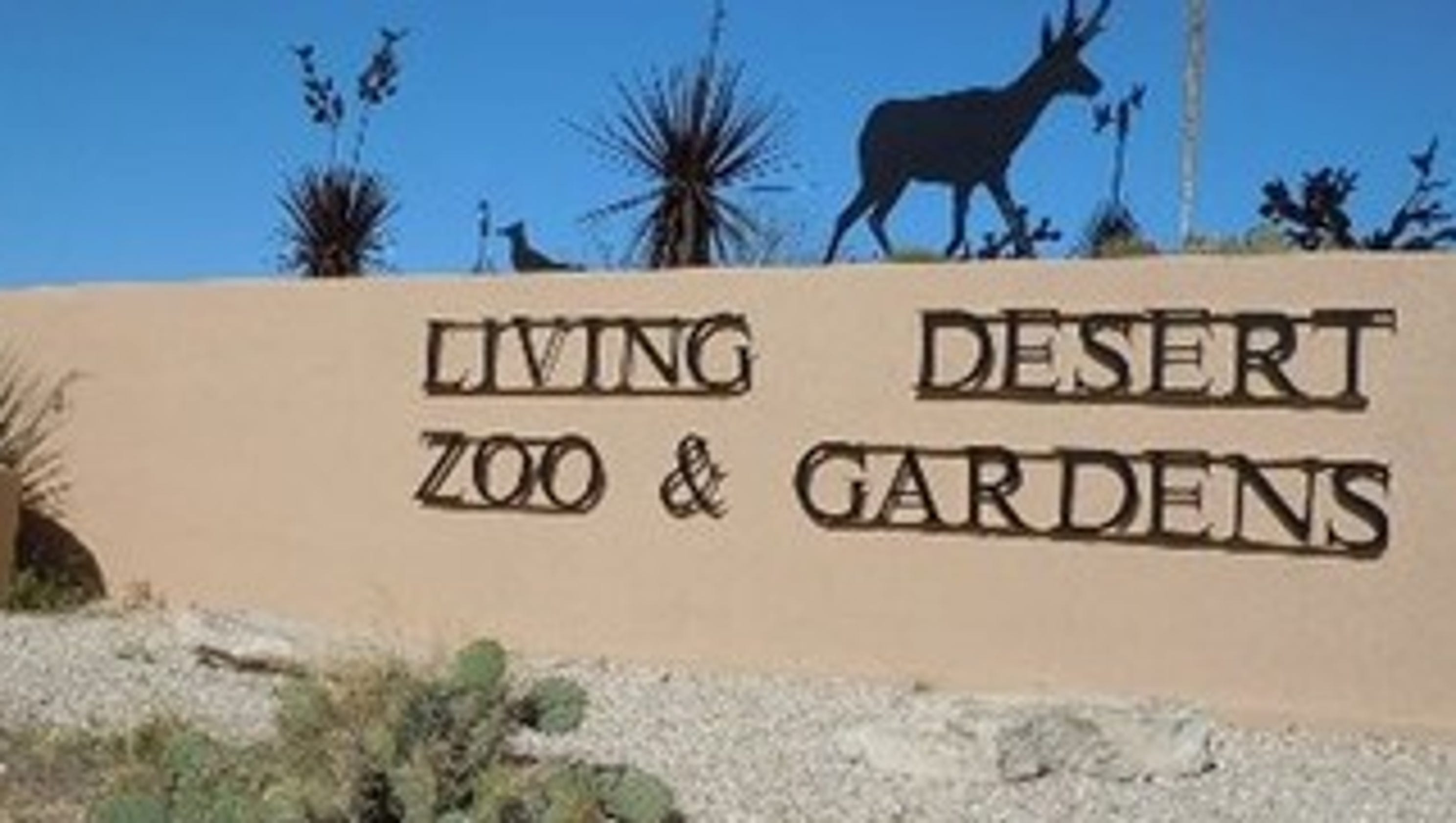 The living desert. Hologram Zoo Desert.