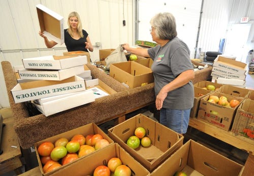 grainger county tomatoes growers matters tomato protective mater brand their morgan lau adam rutledge tenn betty farms picked freshly sort