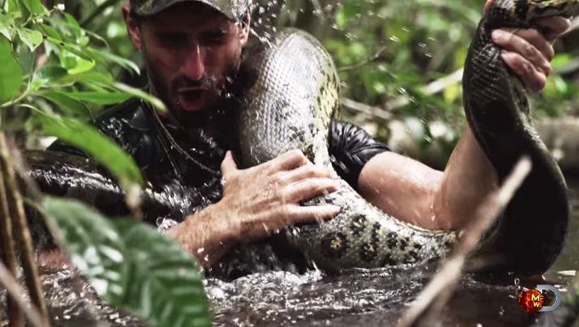 anaconda eating human