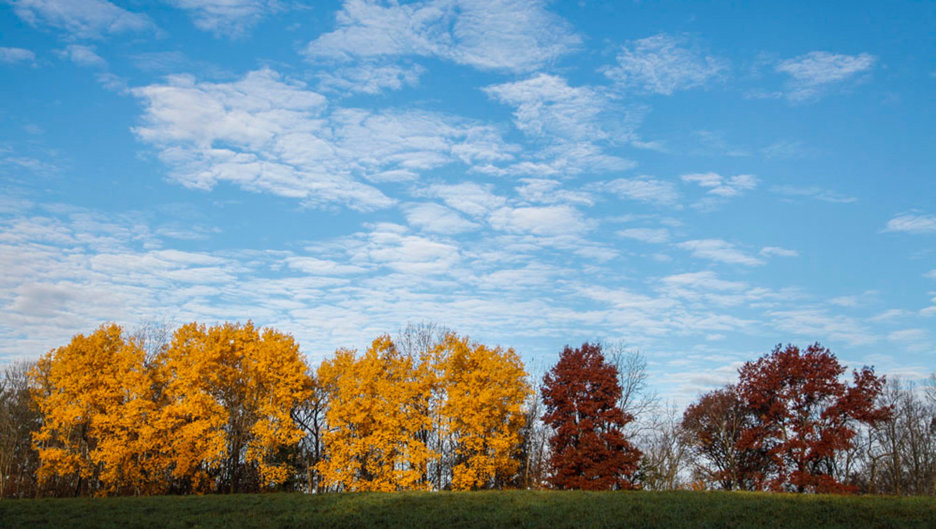 82 photos: Fall in Iowa