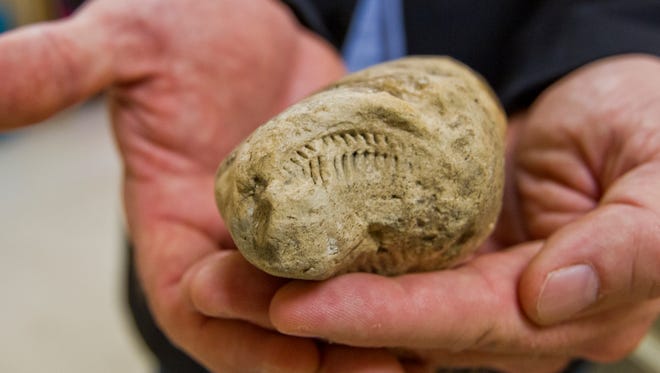 World-record fossilized poop collection on display