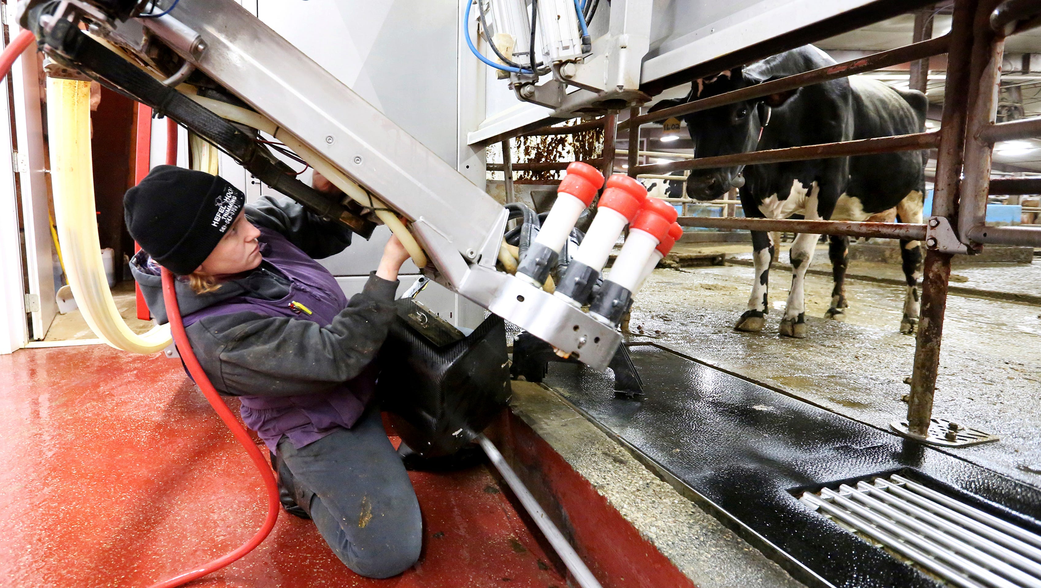 Iowa Dairy Family Expands Farm To Generate More Revenue