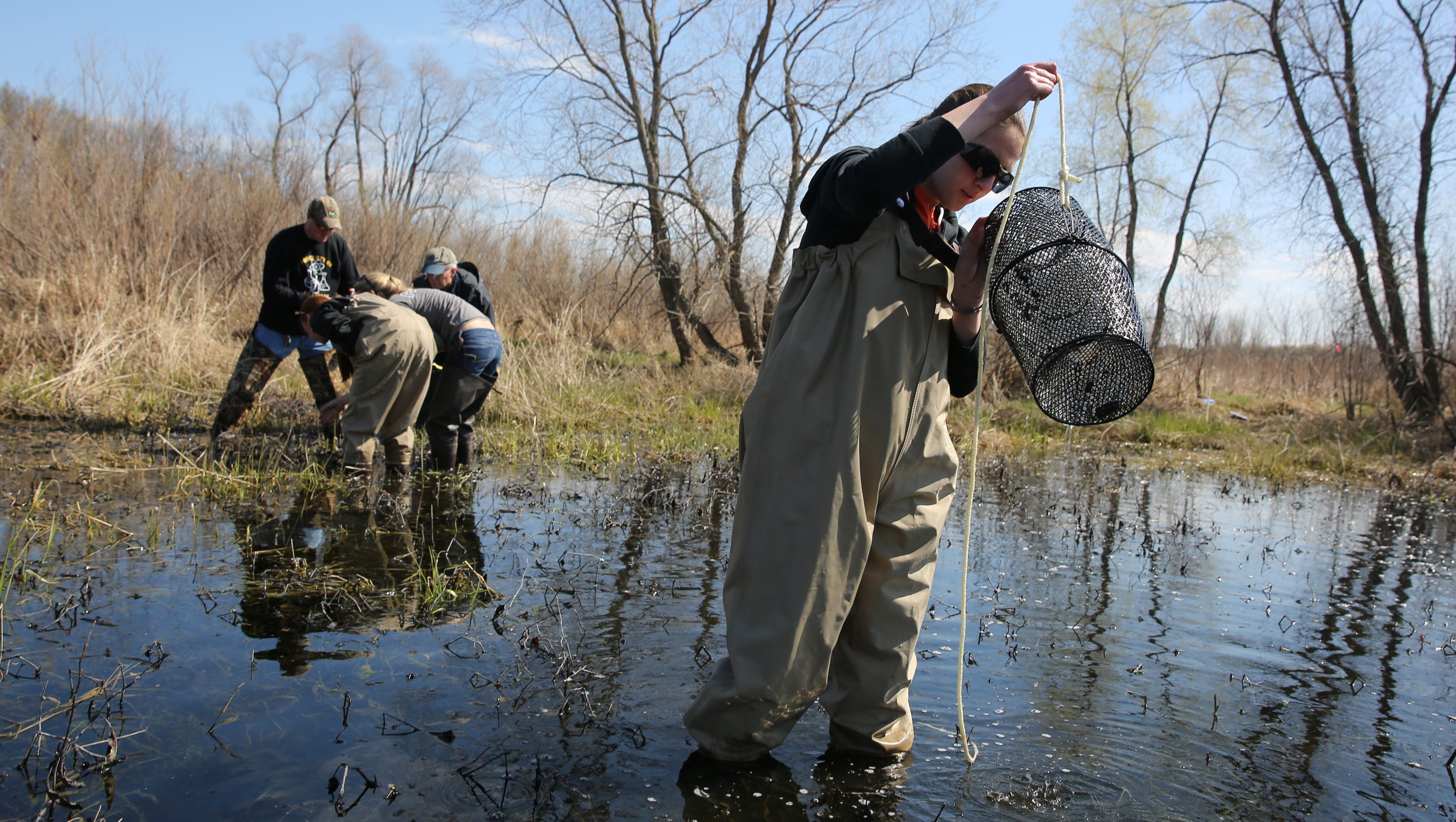 County Seeks Volunteers For Wetland Monitoring