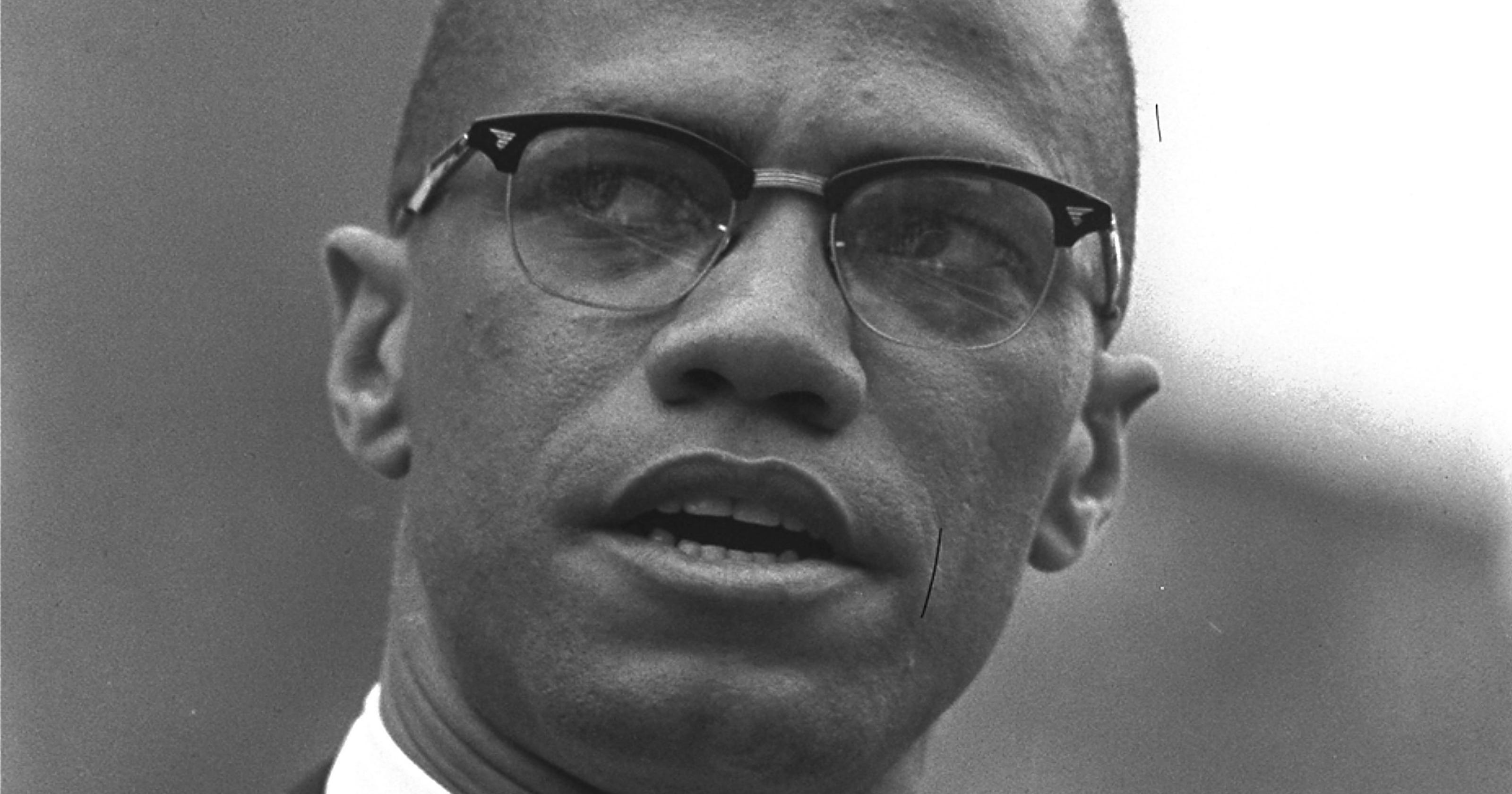 Malcolm X Contributions