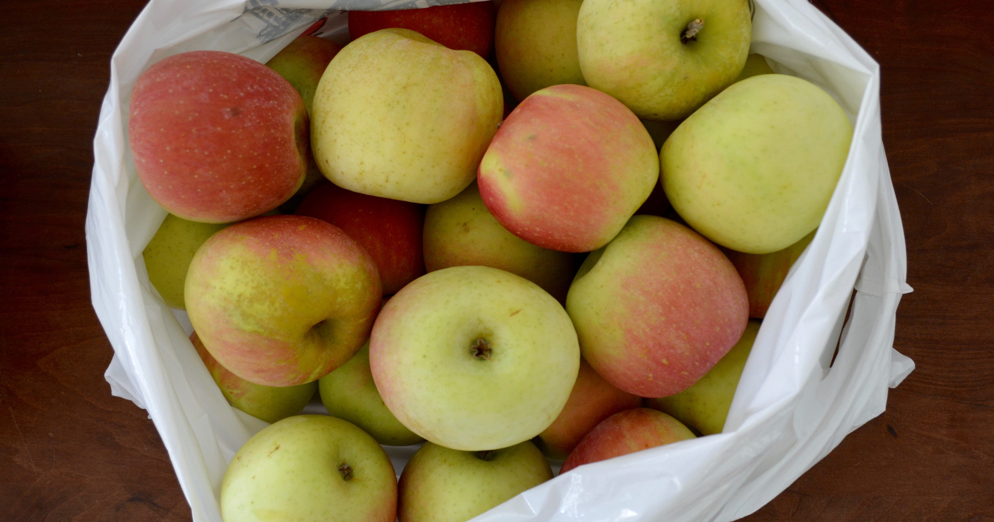 Pick Apples In Henderson County