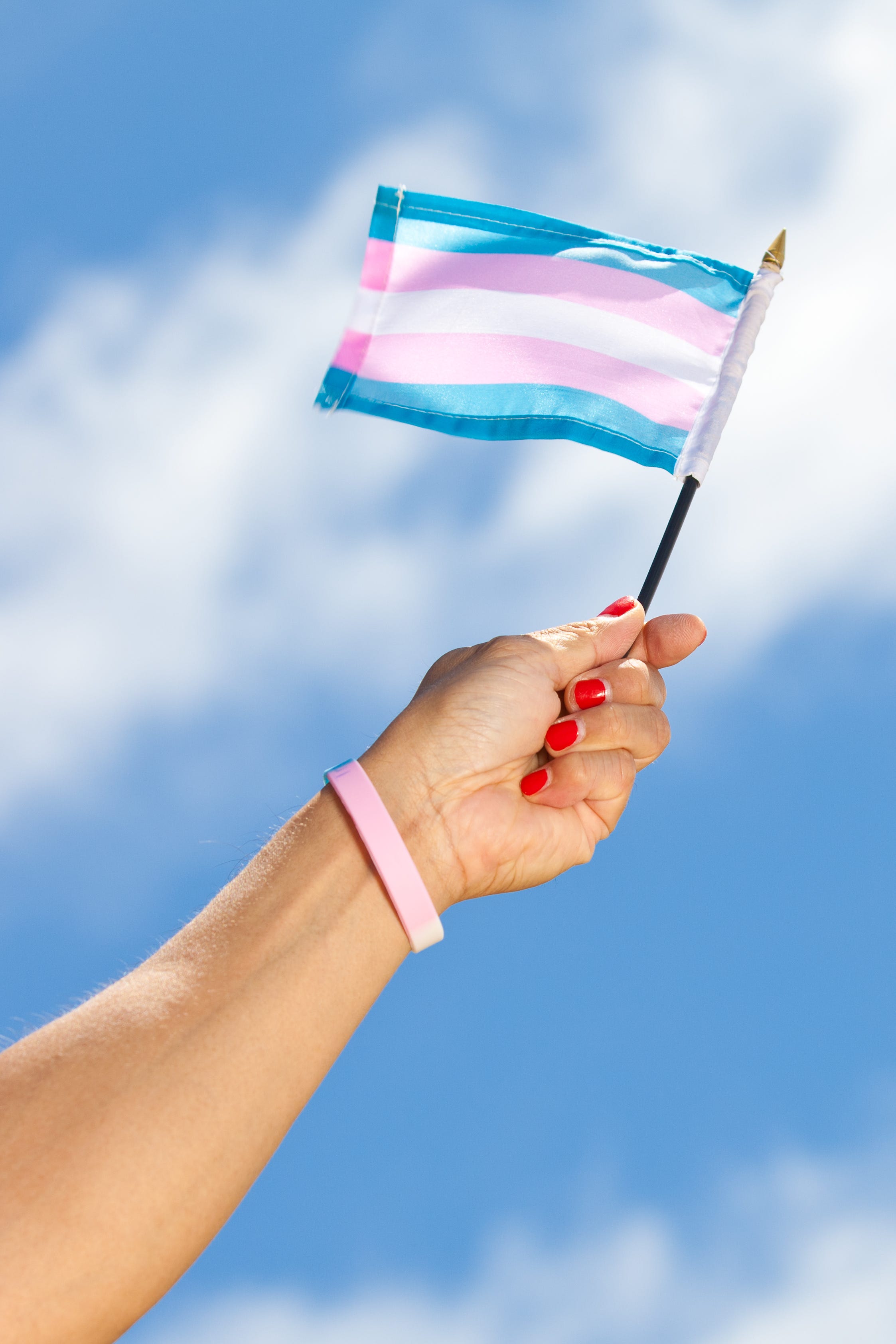 Transgender Pride Telegraph