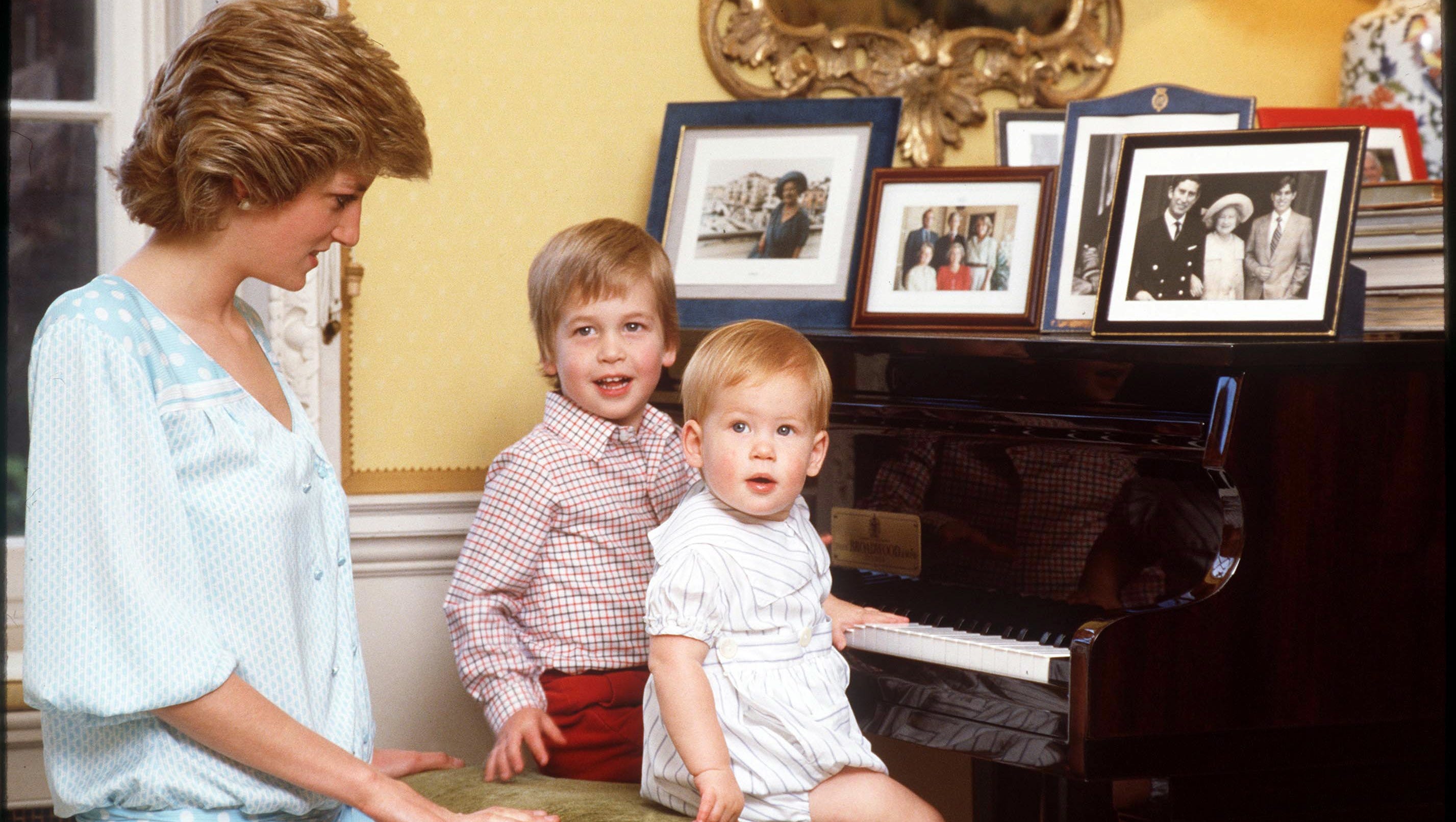 Diana's lasting legacy: Her two sons