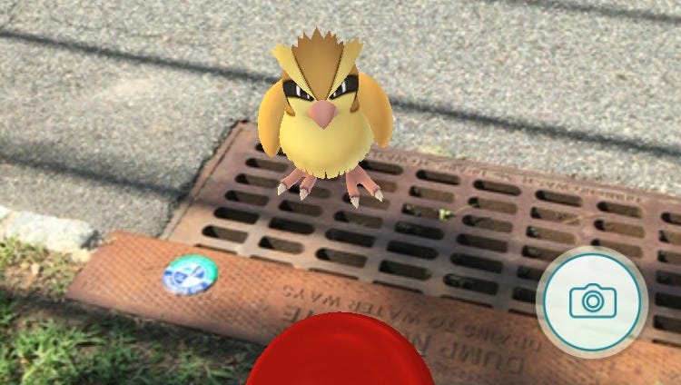 choosy beggars pokemon go reddit