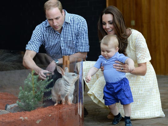   On his first trip abroad, Prince George, 9 months old, met George at the Bilby Enclosure at Taronga Zoo in Sydney on April 20, 2014. It was the second official public engagement of his young life, during his parents' Australian and New Zealand tour. 