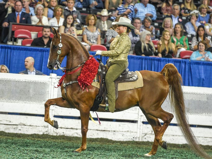 Kentucky State Fair's World Championship Horse Show