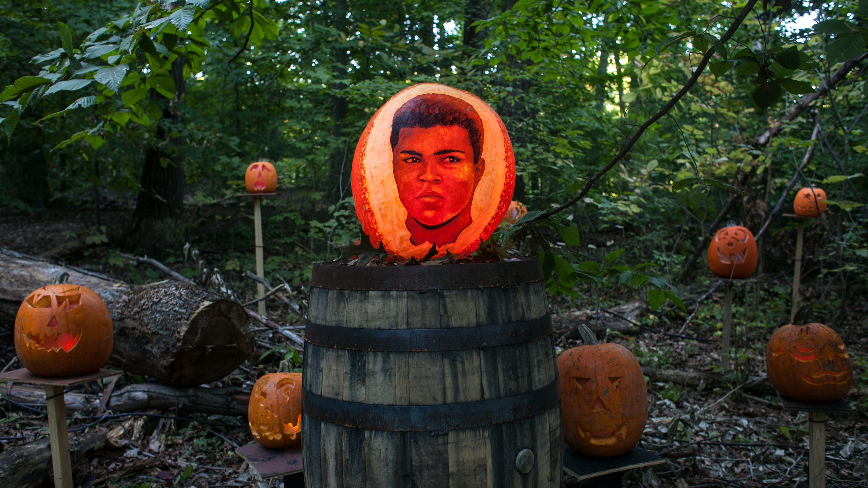 Pumpkin 'Spectacular' returns to Iroquois Park