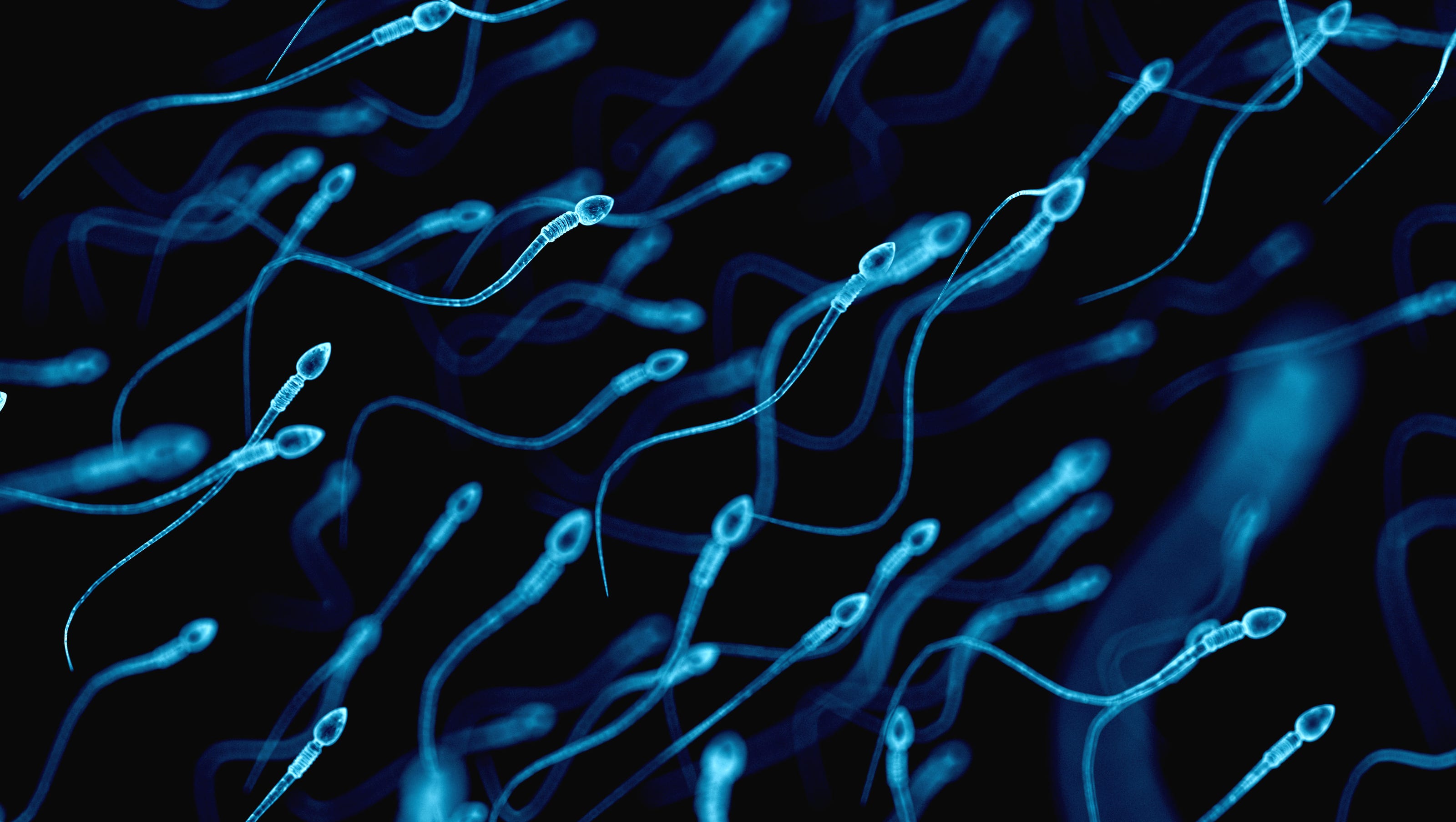 Your Sperm Count May Be Dropping And Scientists Aren T Exactly Sure Why