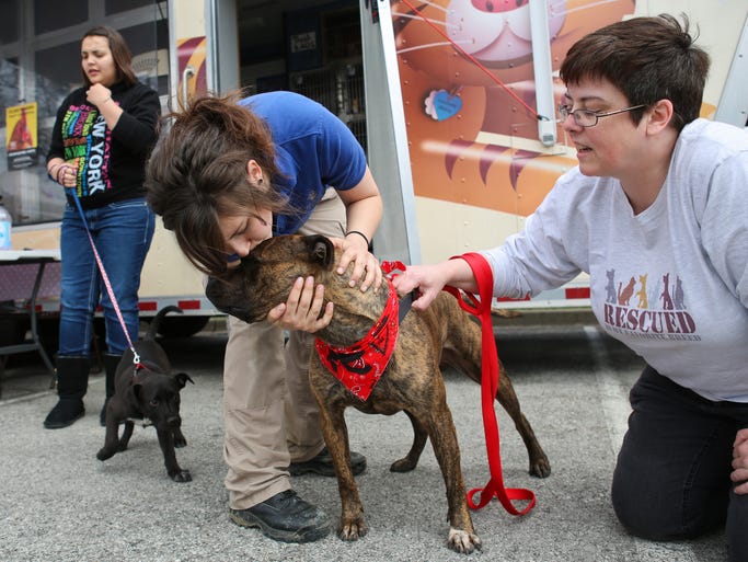 North Shore Animal League America’s Tour For Life