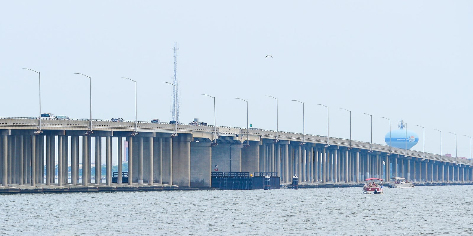 Maryland Bay Bridge Jumper