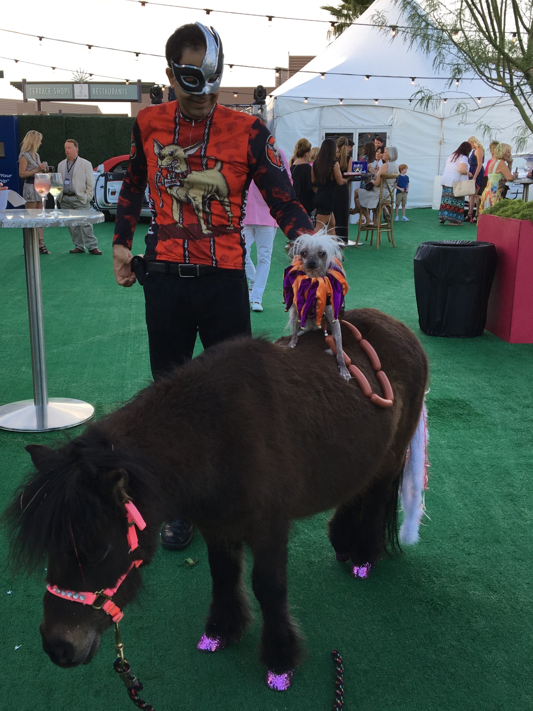 The puppy wears Prada: Dogs model canine couture at fashion week