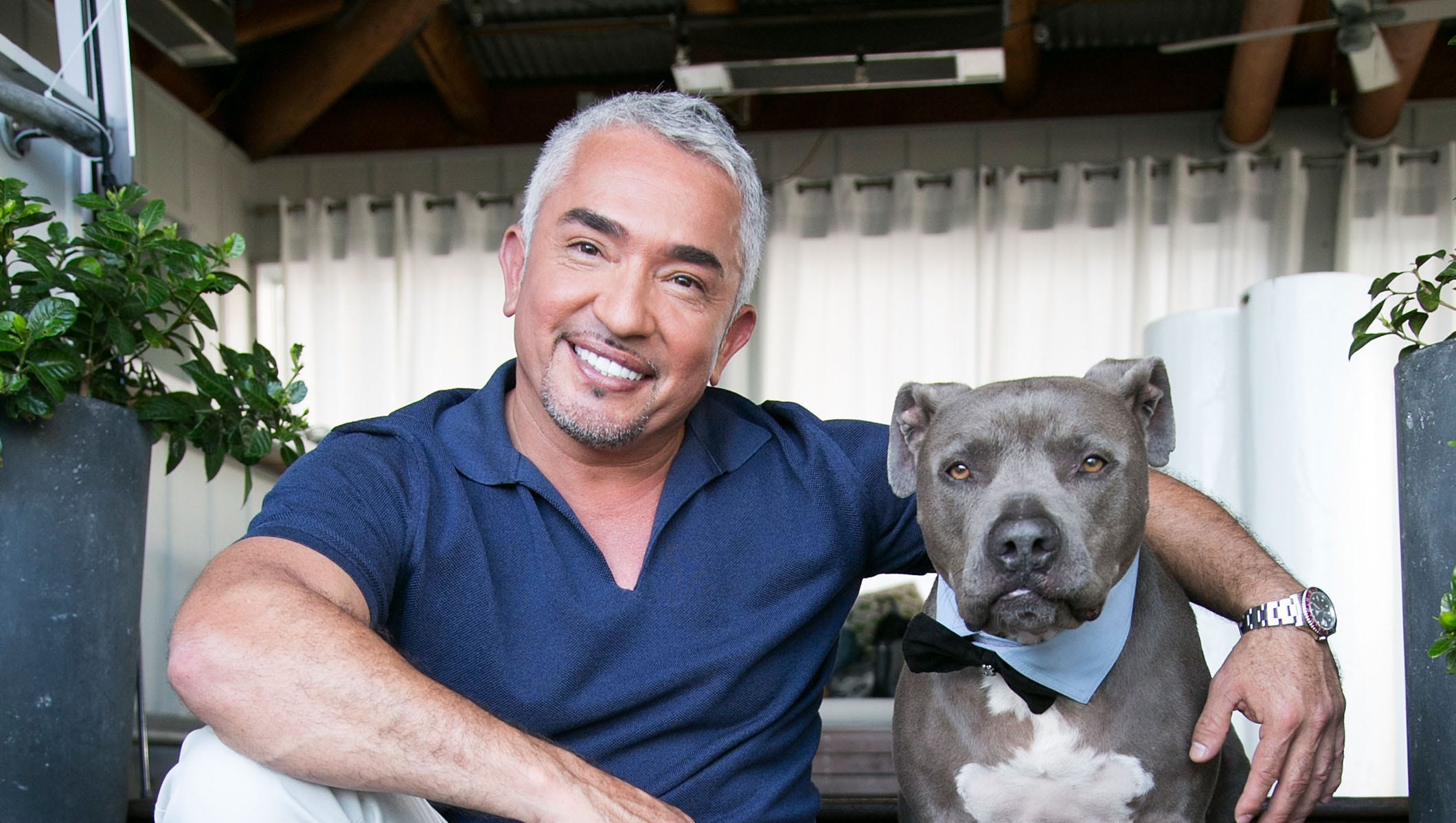 dog trainer cesar millan