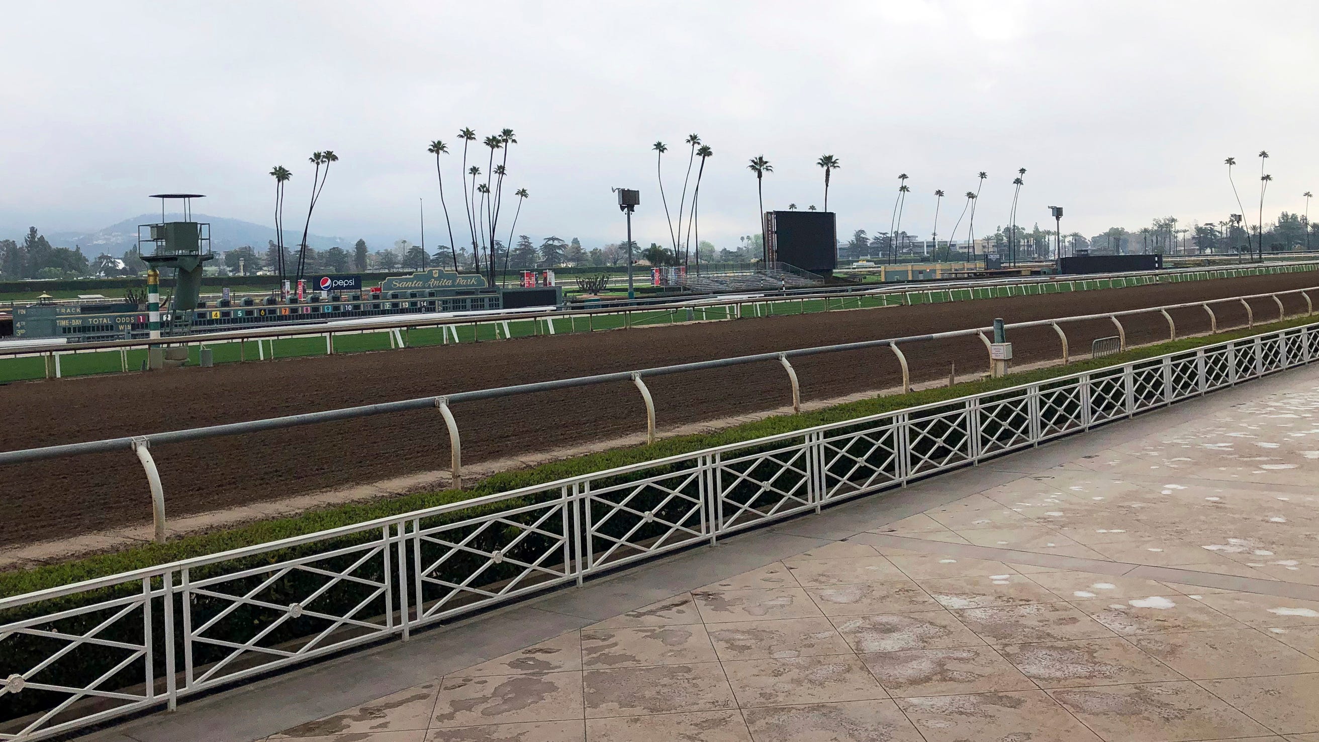 Santa Anita Set To Resume Racing On March 29   403ee1b3999642ad9da576979e031725 